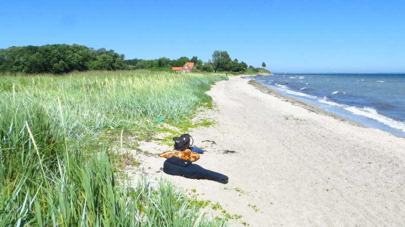 beach in Norgaardholz